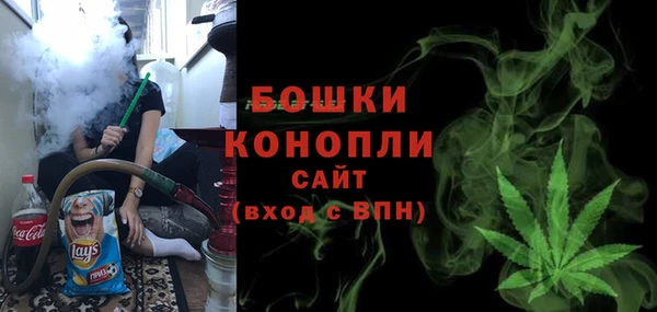 гидропоника Алзамай