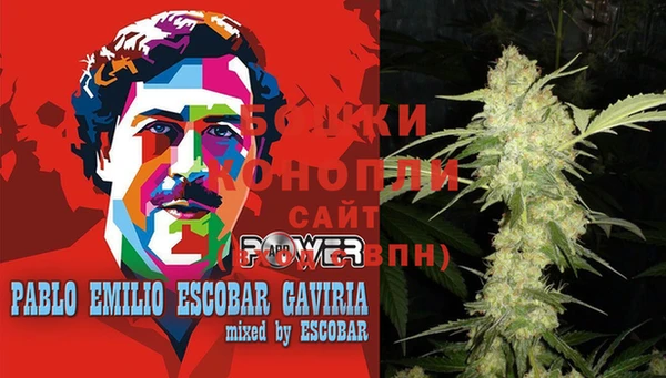 гидропоника Алзамай