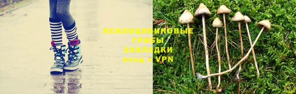 шишки Алексин