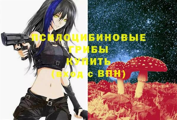 сатива Абдулино