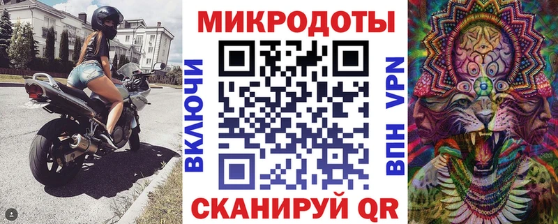 Псилоцибиновые грибы Psilocybine cubensis  Тогучин 
