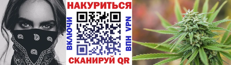 даркнет клад Тогучин Бошки Шишки White Widow